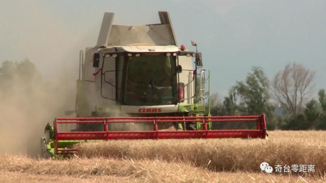 最新型无人驾驶多功能联合收割机,收草联合收割机最新型