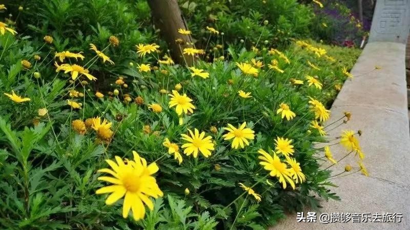 彭祖山风景区究竟什么时候开放,彭祖山景区最新状况