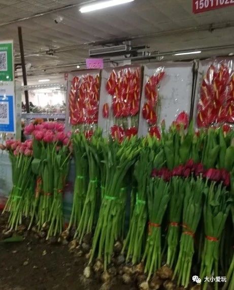 可以逛的花卉市场,值得去看的花卉市场