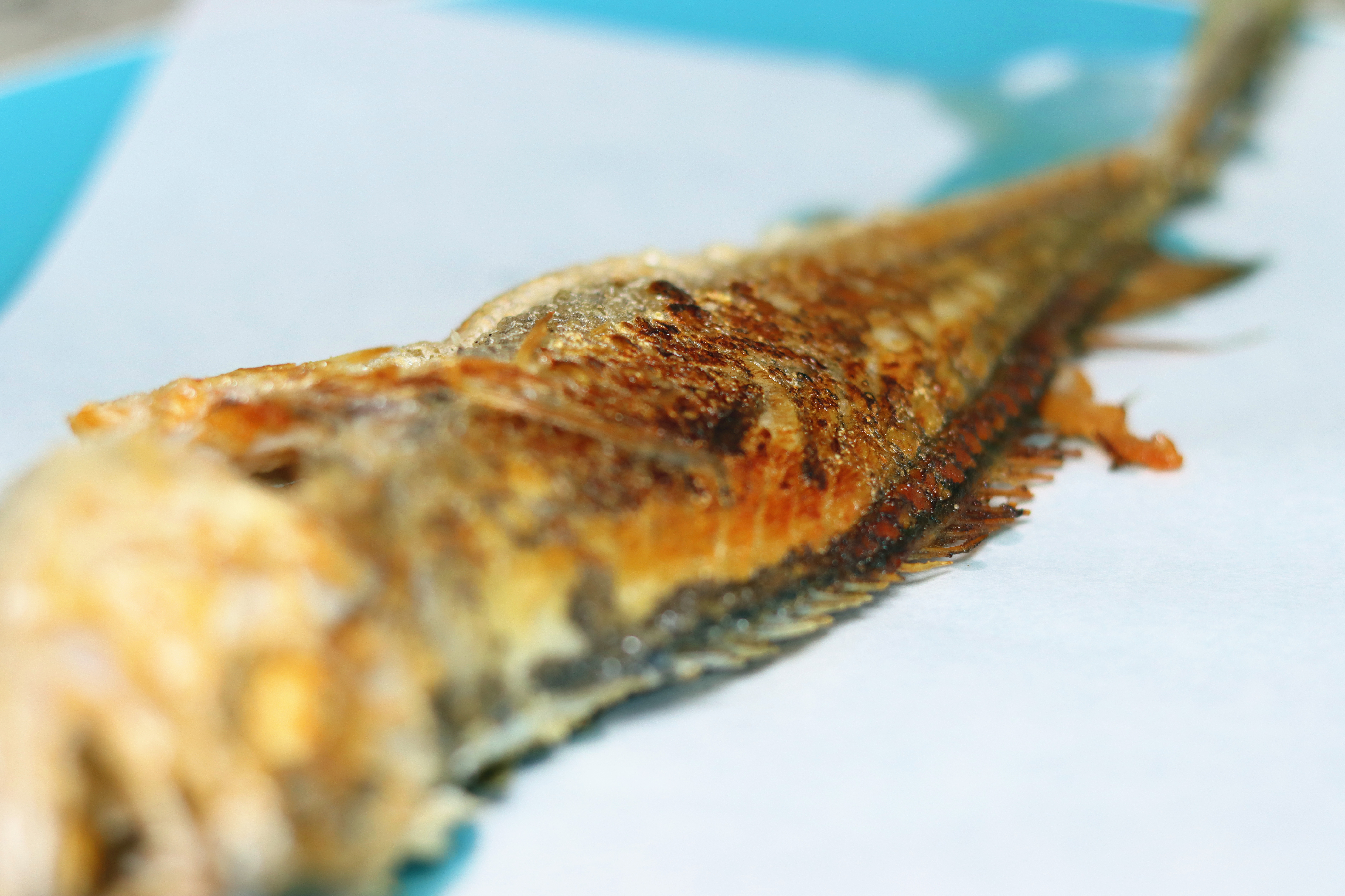 据说这个煎锅能聚油还超好用！——苏泊尔火红点聚油煎锅使用评测