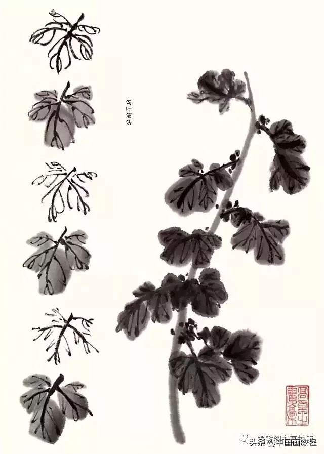 菊花花头花苞画法,菊花花头的画法步骤图片