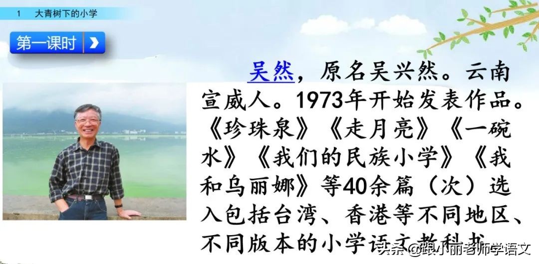 大青树下的小学重要背诵内容,大青树下的小学重点知识点