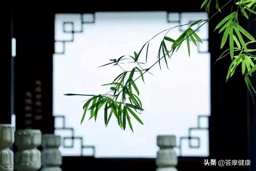 道真的特点有哪些,道真值不值得去