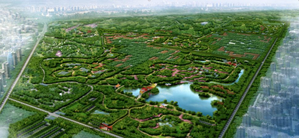 通州最新森林公园,通州南部公园