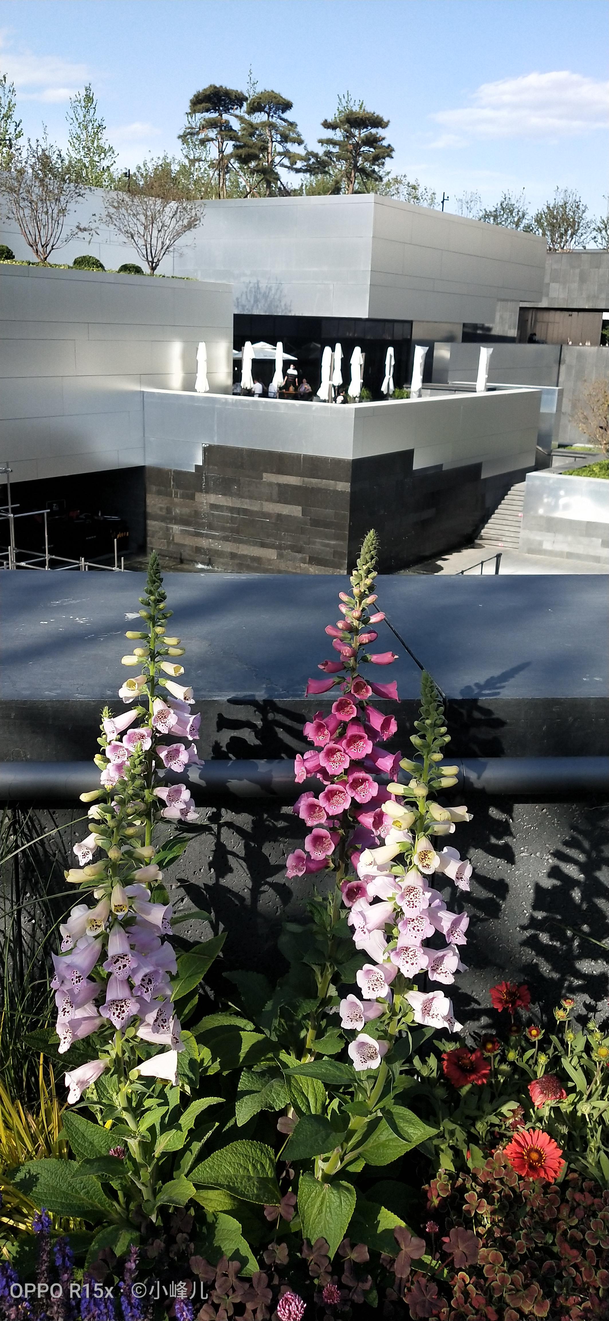 西单更新街有什么,西单更新场和大悦城