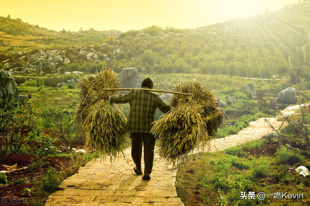 毛主席与农村、农民有着永远的心结