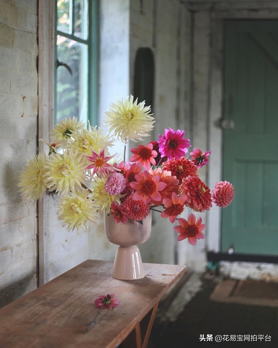 七夕情人节红玫瑰花束花语,七夕送老婆玫瑰花什么花语好
