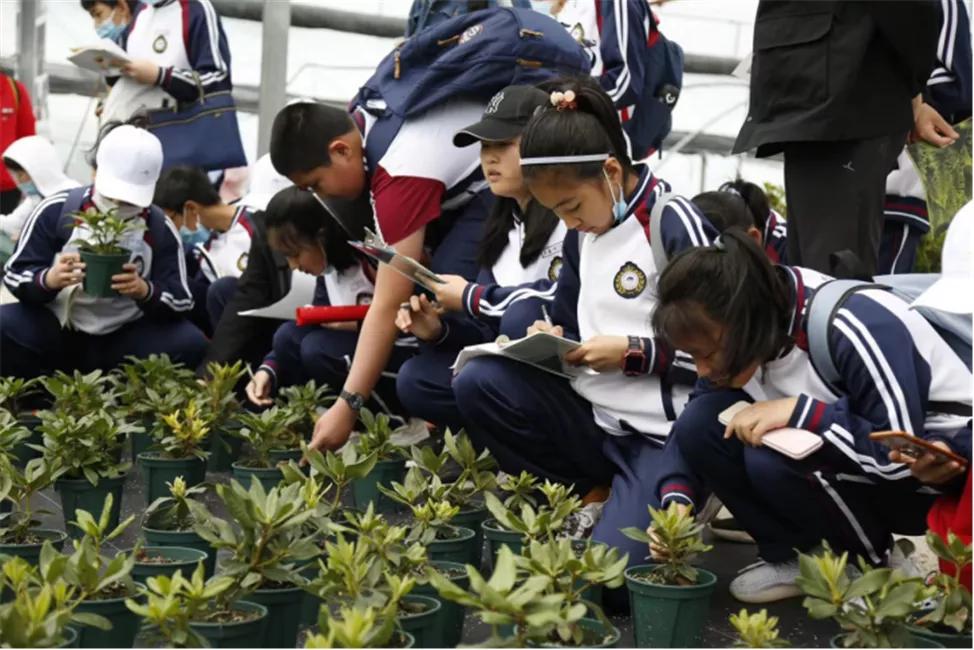 星空露营生态园,星空露营户外团建策划