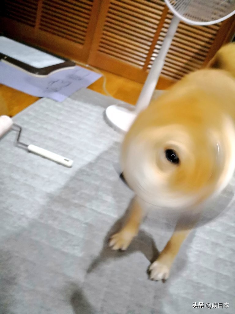 沙雕手办日本小哥,日本沙雕手办小哥哥