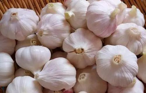 制作糖醋蒜用洗吗,五斤大蒜腌制糖醋蒜的比例是多少