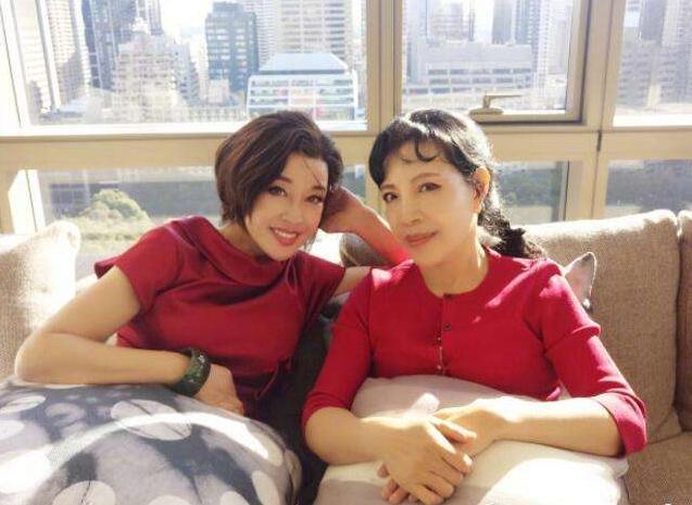 刘晓庆入狱前个人资产,刘晓庆被抓是哪集