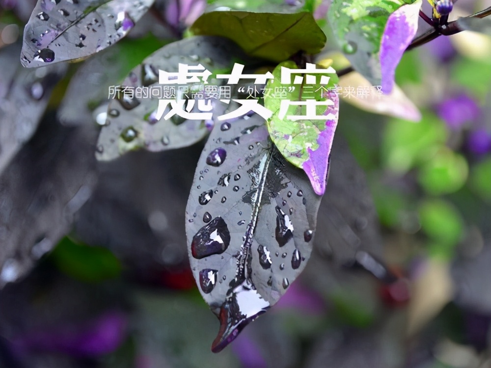 最随心所欲不按常理出牌的星座,容易被误会没本事的星座