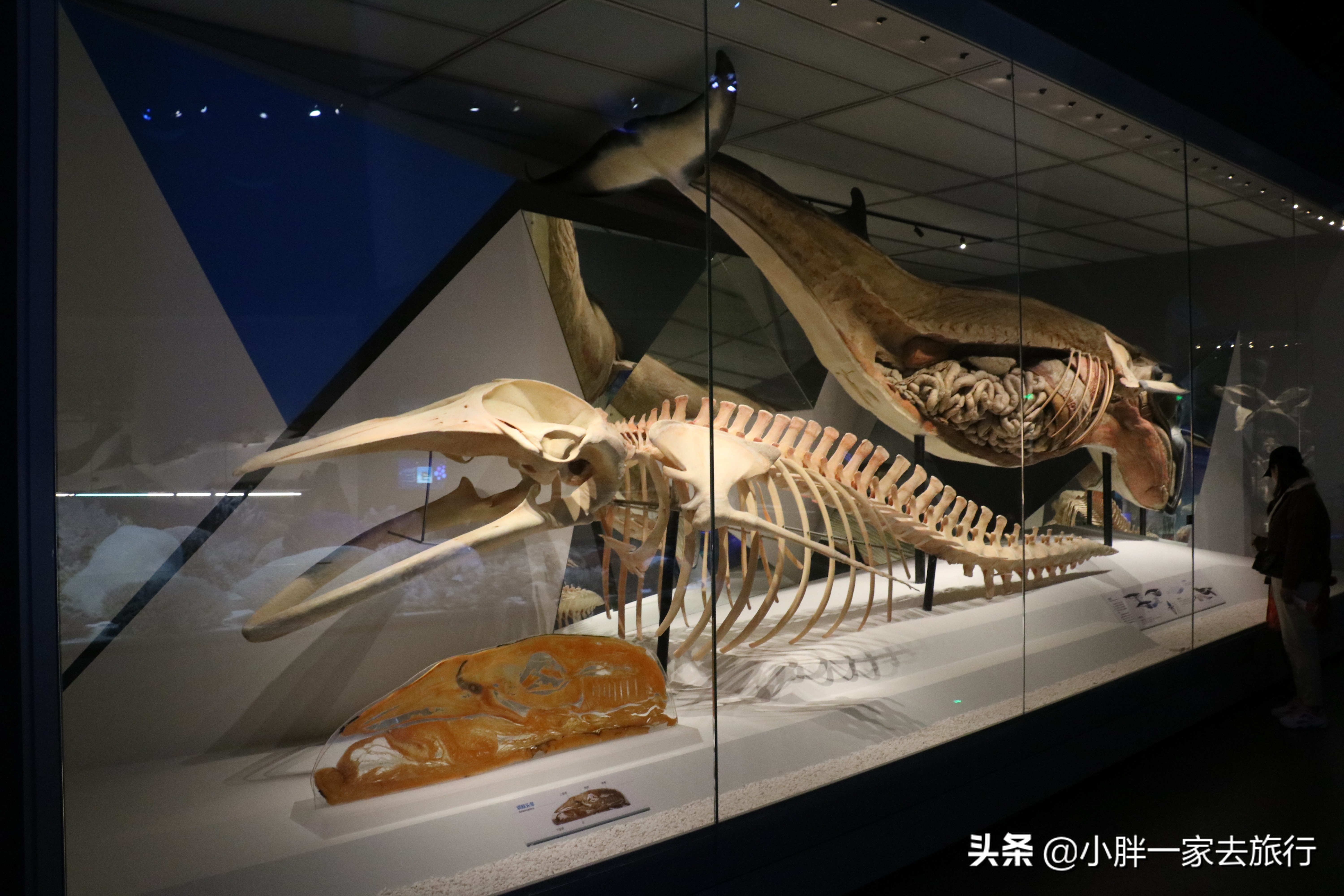 最大的北京海洋博物馆,海上故宫国家海洋博物馆