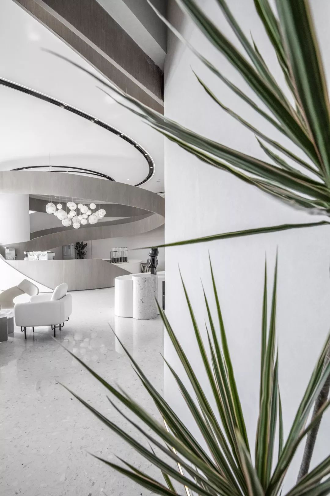 万科x大倉|对话自然美学，预见未来新生活