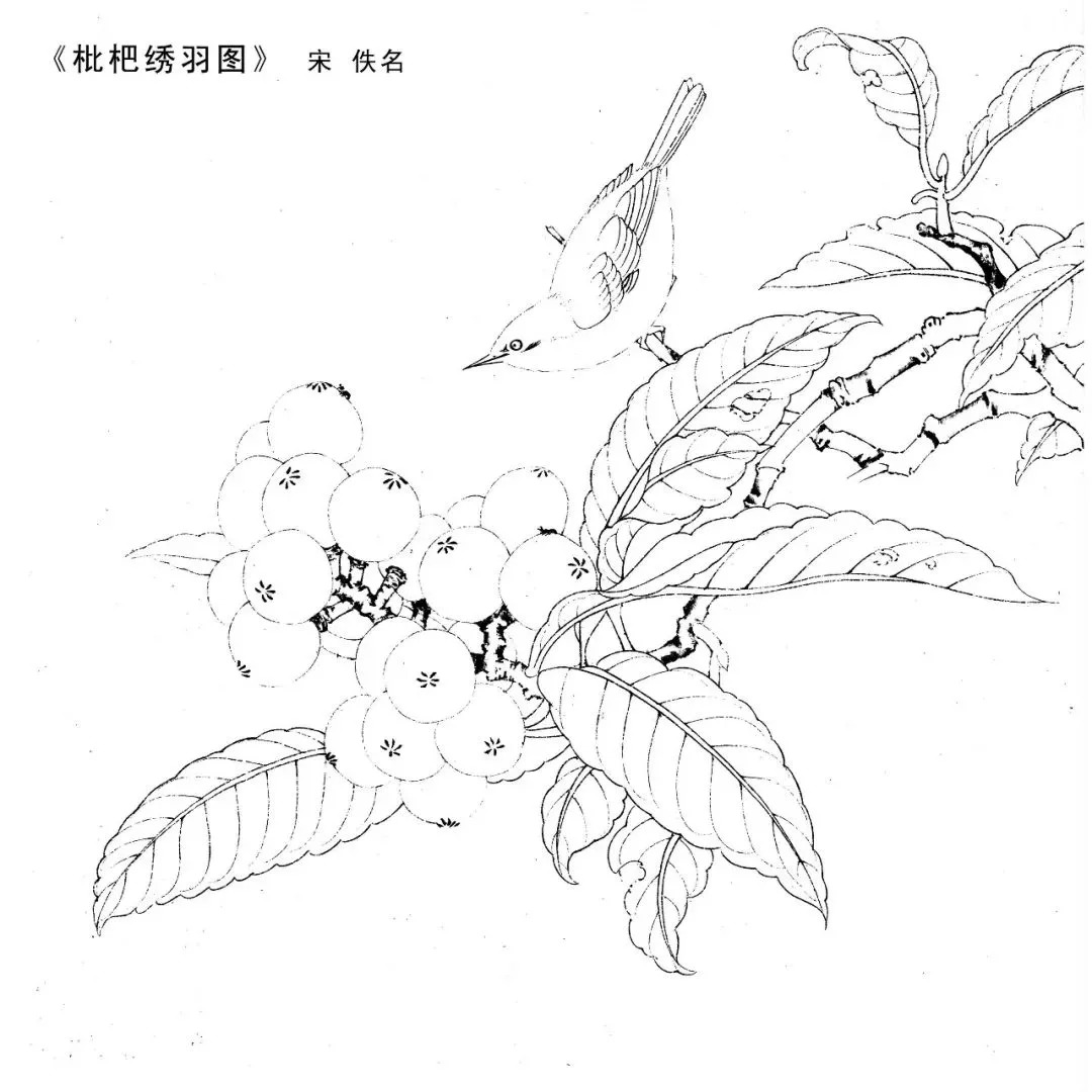 宋人工笔白描,宋人小品花鸟工笔白描高清图