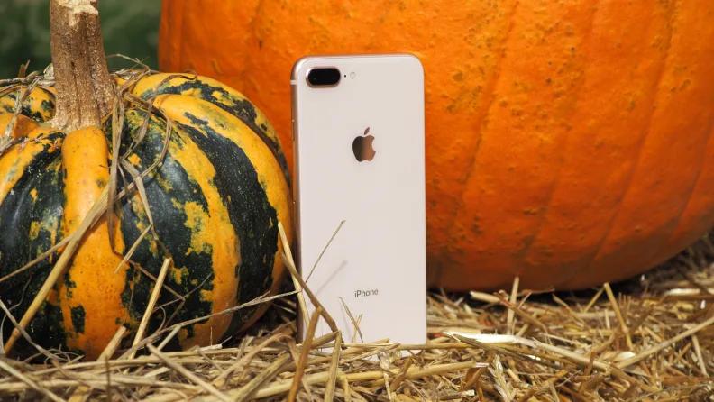 2021年iphone8plus值得入手吗,iphone8plus今年还值得买吗