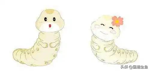 养鱼鱼食大全,养鱼知识大全鱼塘鱼食