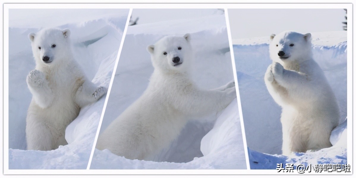 你不知道的国家冷知识——“男人天堂”加拿大）