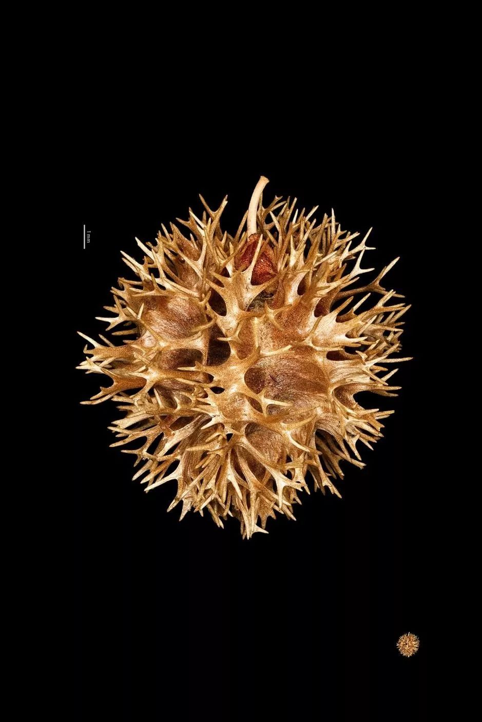 绉戠爺澹佺焊,绉戠爺浜虹殑鏂板勾澹佺焊