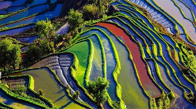 良心推荐｜1月高性价比出行，附出行指南和必游景点