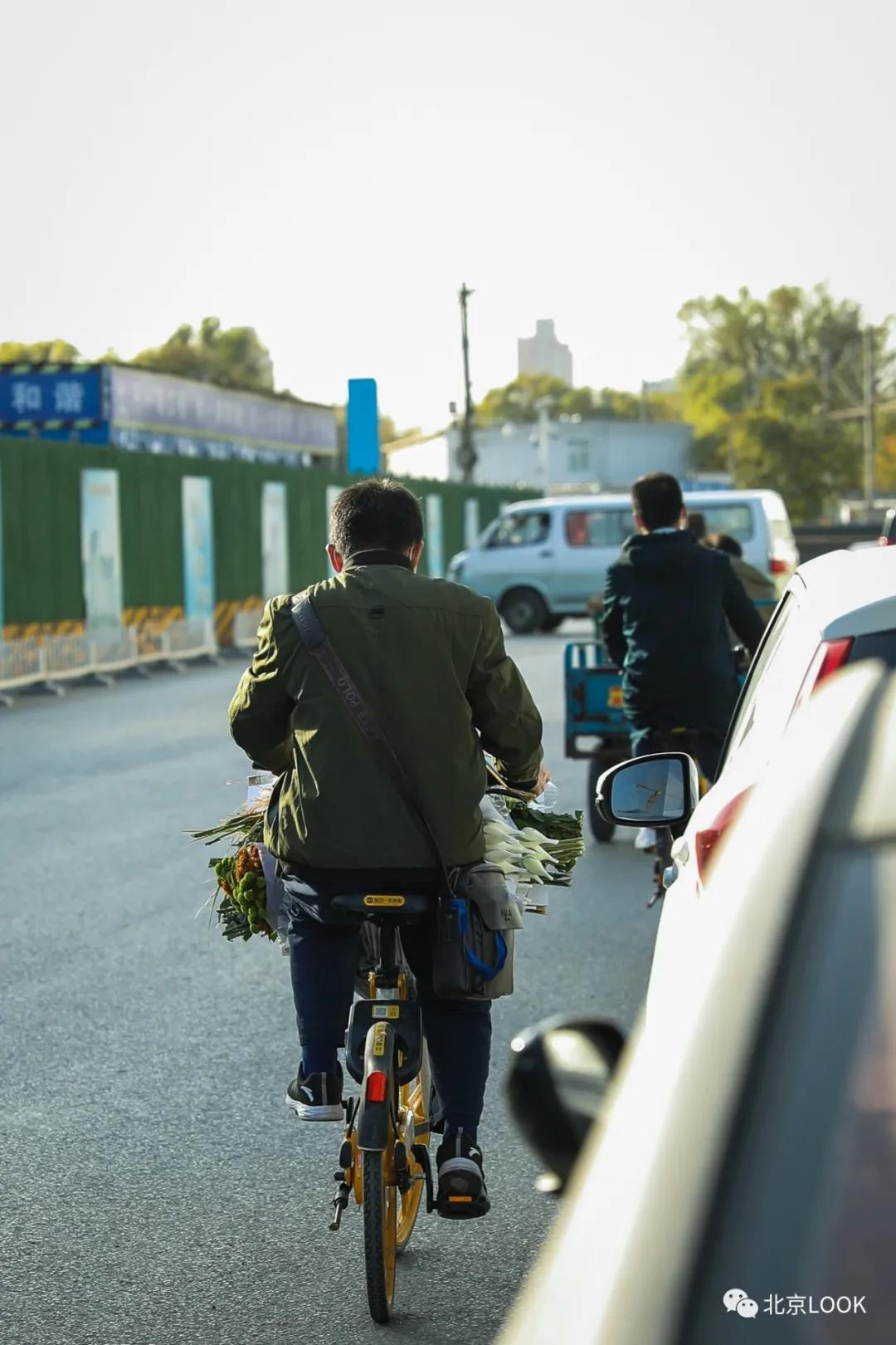 最便宜的北京花市,北京超好逛的花市