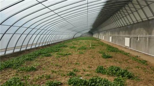 建造玻璃温室大棚多少钱,玻璃钢结构大棚造价