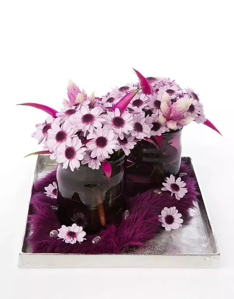 好看的切花菊推荐,好看好养的切花菊