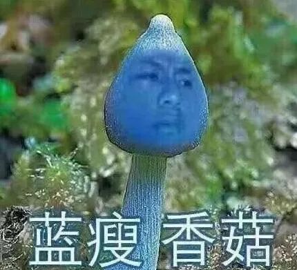 1999—2018，20年的网络流行语，你确定你真的懂？