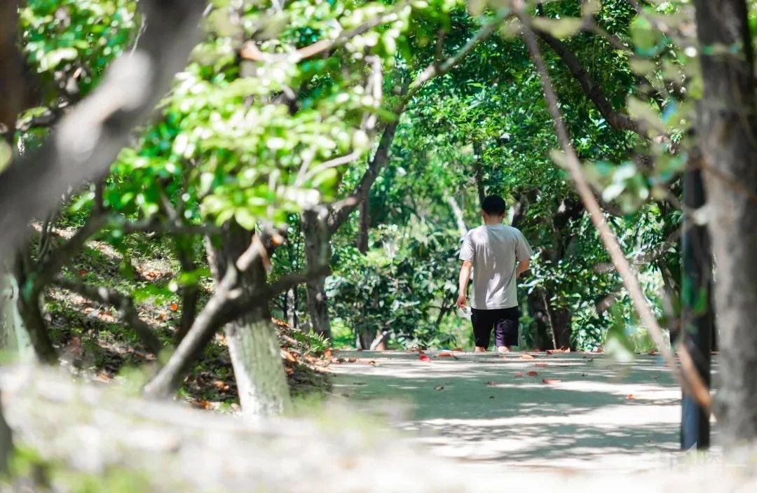 深圳二号线沿线有哪些景点游玩,深圳9号线沿途好玩的地方推荐