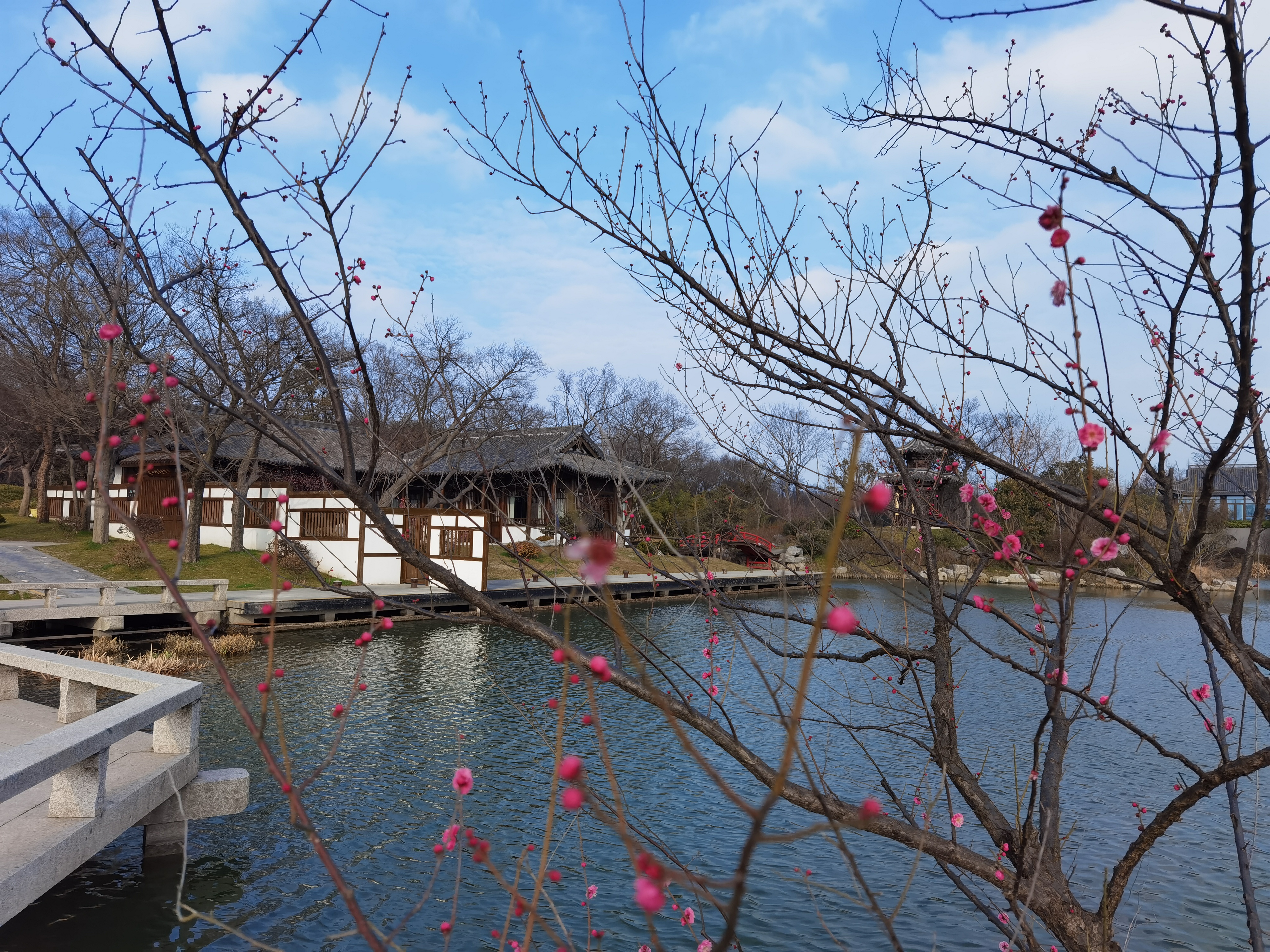 三月的瘦西湖到底有多美,瘦西湖景色到底有多美