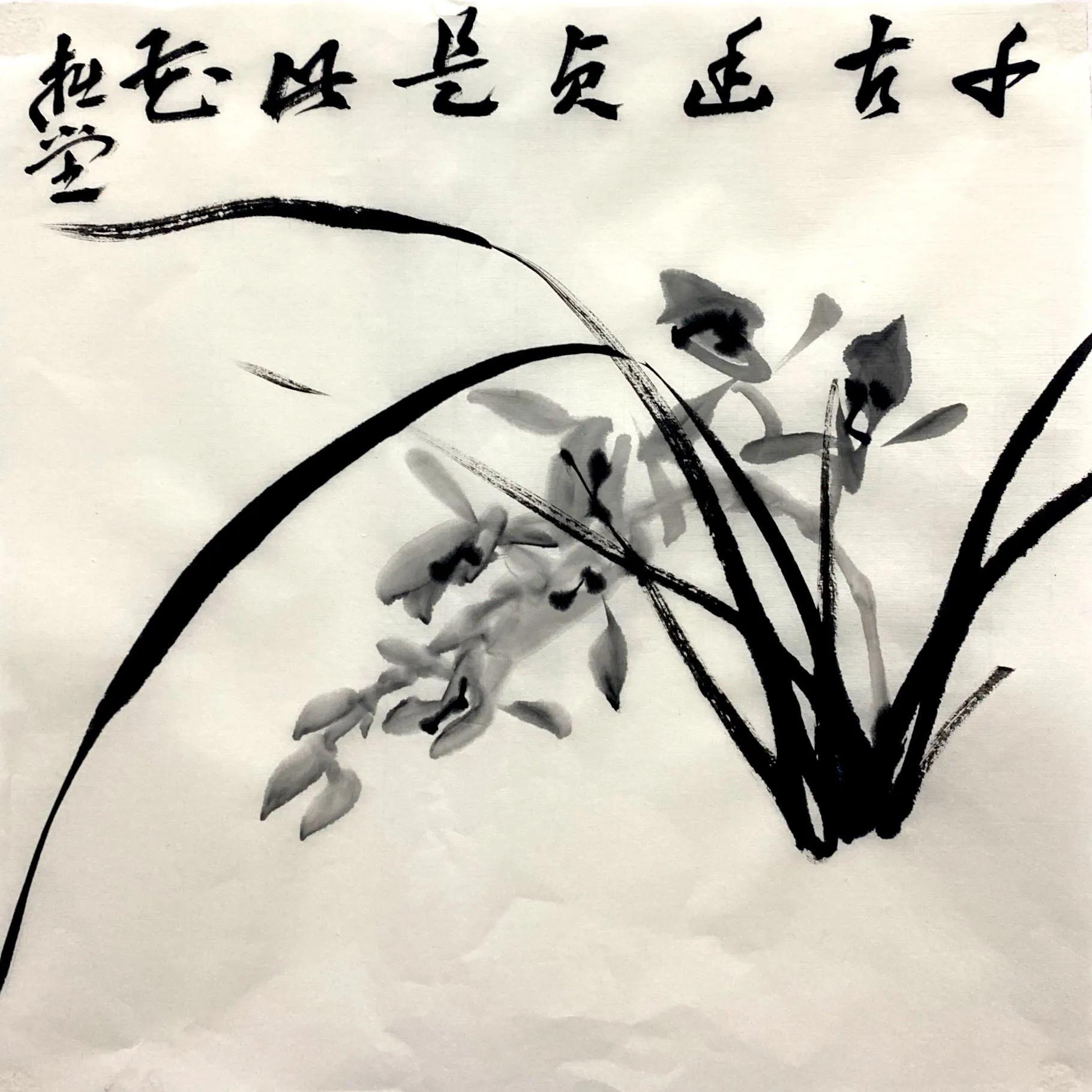 国画写意兰花作品图片欣赏,国画兰花欣赏精品