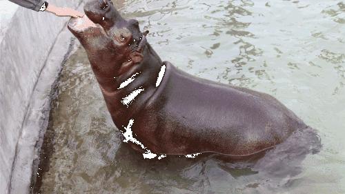 南京周边免费旅游景点推荐一日游,南京免费的旅游景点有哪些地方