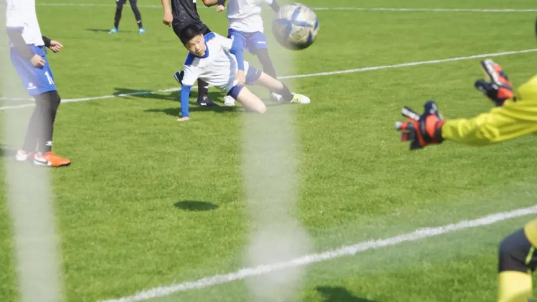 宜兴中小学足球比赛,2020年宜兴市青少年足球比赛