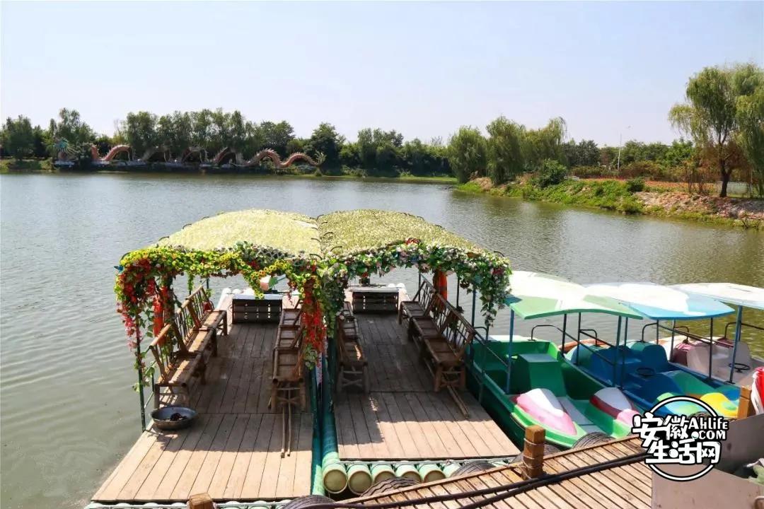 合肥最美的春天景点,合肥春天有哪些好玩的景点