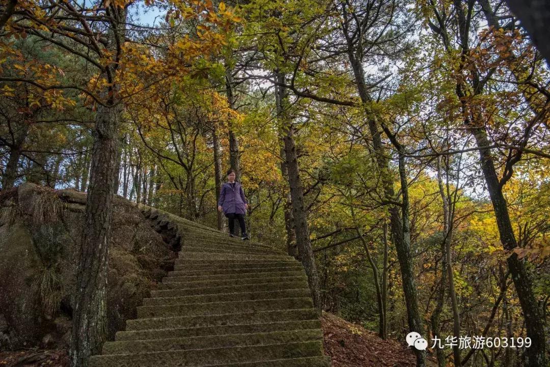 九华山游玩攻略免费门票,九华山风景区门票包含哪些景点