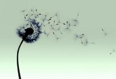 人生和电影一样都是以余味为标准,人生与电影一样都是以余味定输赢