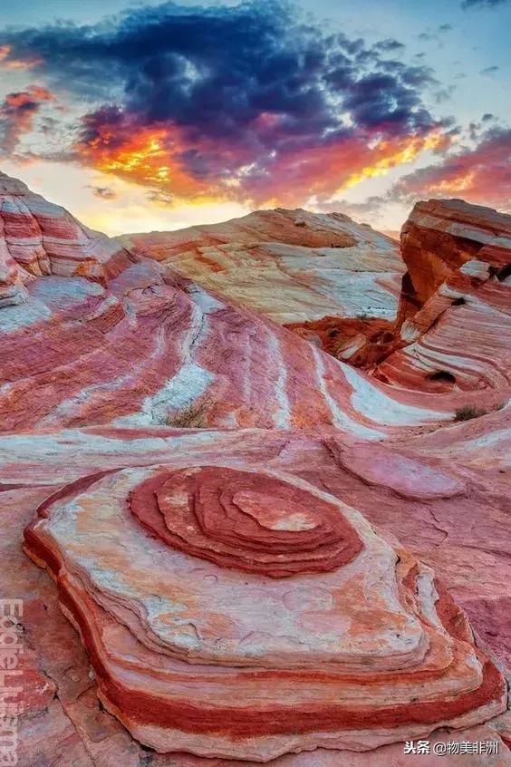 去了非洲才知道，人类才只是这个世界的过路者