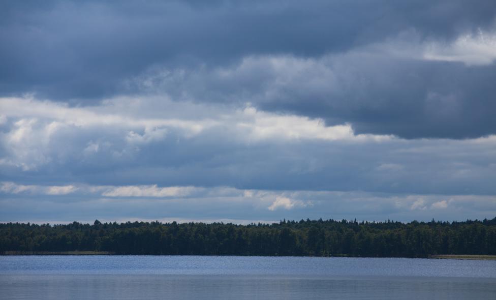 二十四节气小暑绘画教程,二十四节气小暑至盛夏始