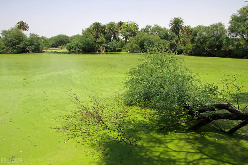 迪奥背后的文化,迪奥品牌背后的唯美故事