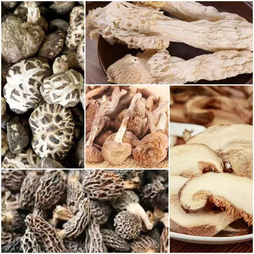 丝绸节！绿色食品展！成都最火爆的夏季购物节在这里