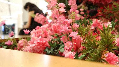 太会撩了！「中华广场」浪漫告白地，七夕的又一个新选择