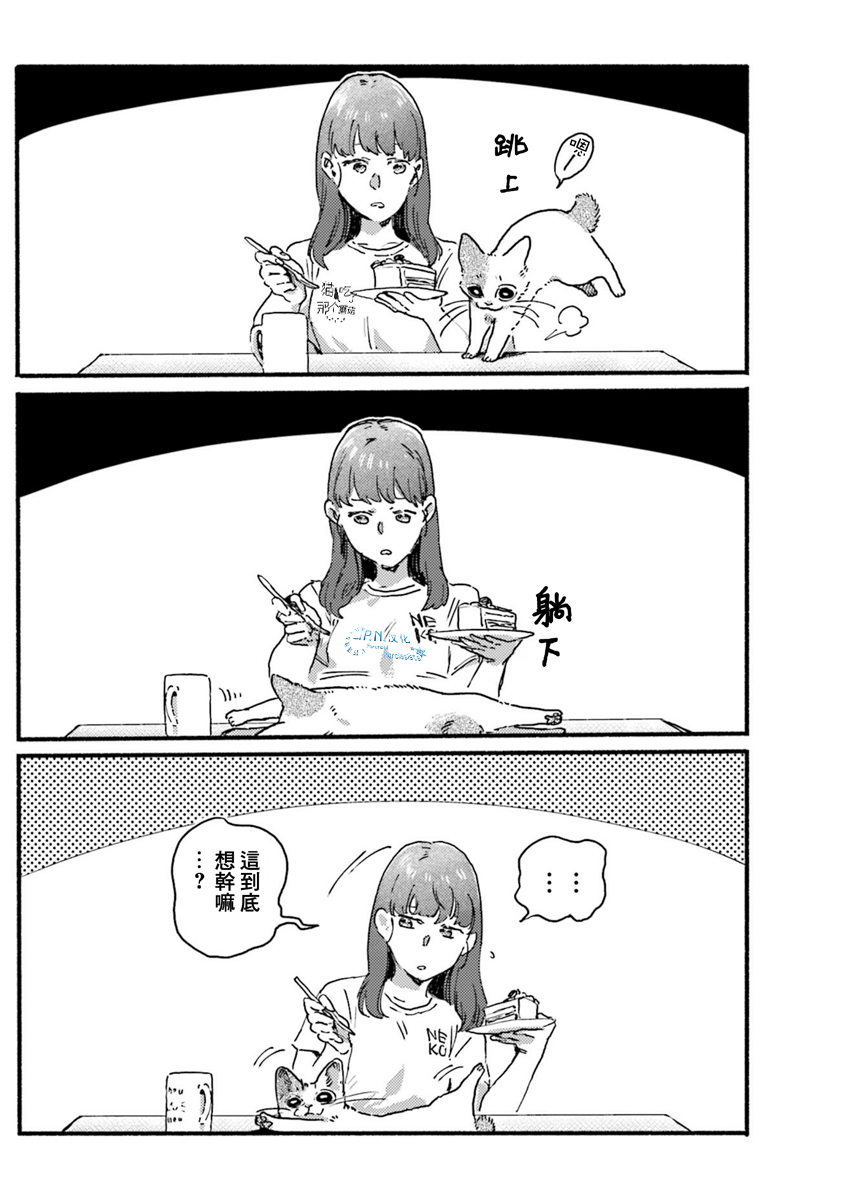 清新治愈！和3只猫一起生活的日子！又要骗我养猫！