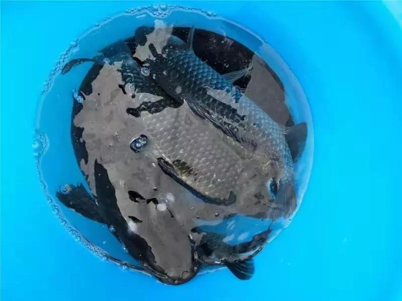 今日石狮,石狮今天的新消息