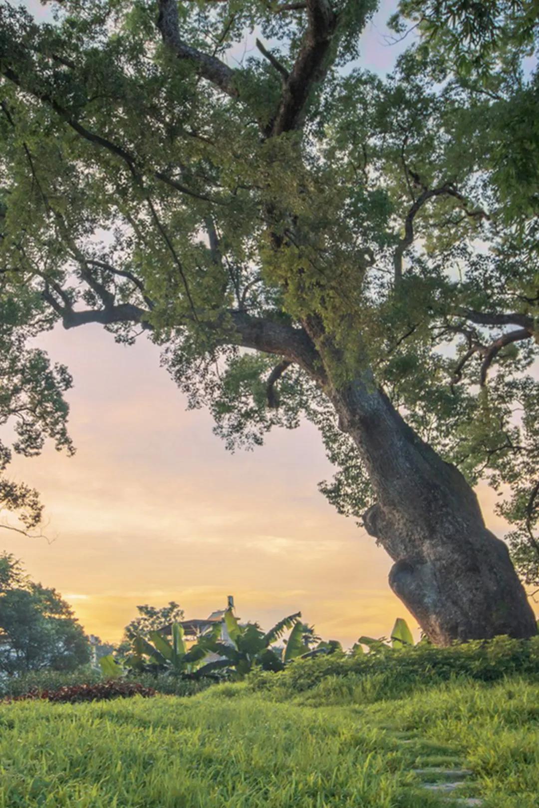 韶关丹霞山一日旅游攻略,去韶关丹霞山旅游攻略