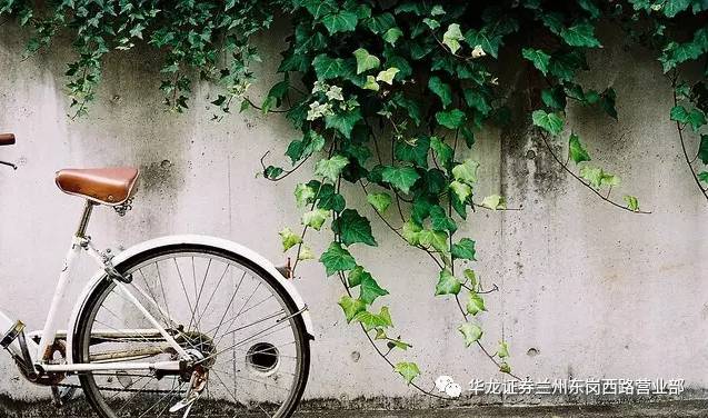 沈阳2019居游旅游年卡/票正式开售，都包含哪些景区？多少钱？