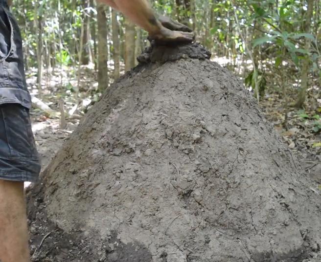 烧制木炭新技术,原始技术如何制作木炭