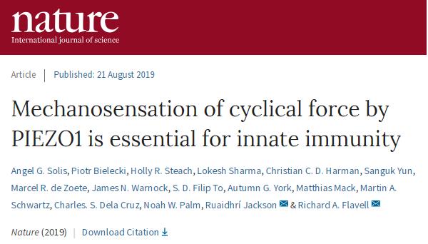 中国冷冻电镜技术进展,冷冻电镜最新研究