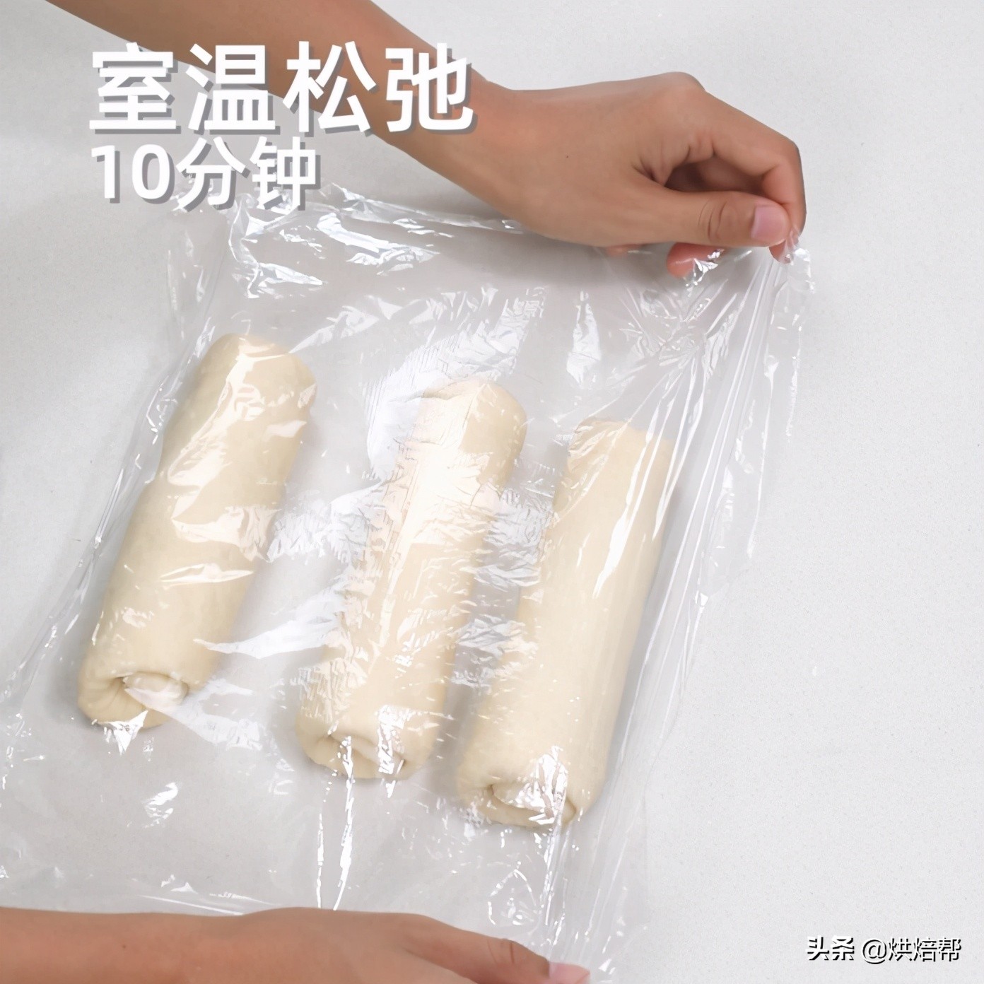 日本爆火吐司,日本生吐司中种