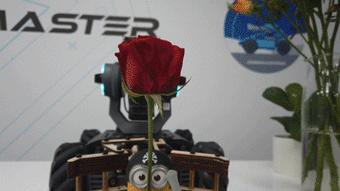 圣诞节送什么礼物给女友高大上,圣诞节礼物送什么给女友最好