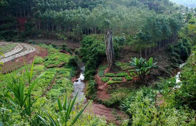 温柔的德牧视频,牧羊犬来福